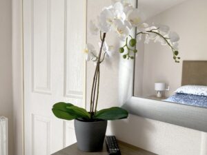 orchid decoration